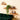 NaturSchwung: Wandregale Holz – 3 Stück, elegant & schwebend im Vintage-Wellen-Design für Schlafzimmer & Flur